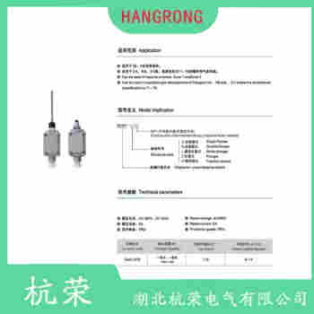 YBLX-K3/20H/T 叉形擺臂型行程開關(guān)測定意義