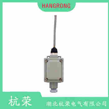 TZ-8122 可調(diào)鐵桿型行程開關(guān)選擇要點(diǎn)