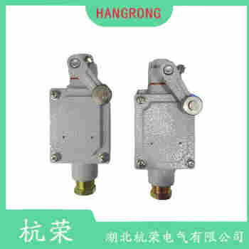 WL-4A100 滾輪擺臂型行程開(kāi)關(guān)參數(shù)規(guī)格