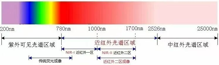 近红外二区成像 洞察生命奥秘的新视野