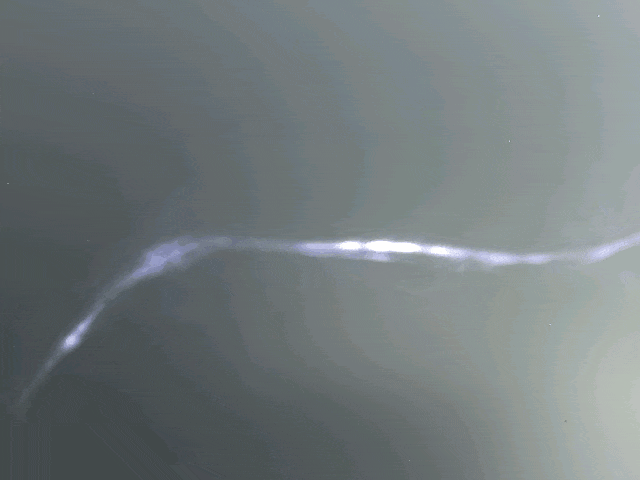 近红外二区活体宽场荧光成像系统 开启生物医学成像新时代