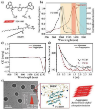 近紅外二區(qū)熒光探針 開啟生物成像新視界