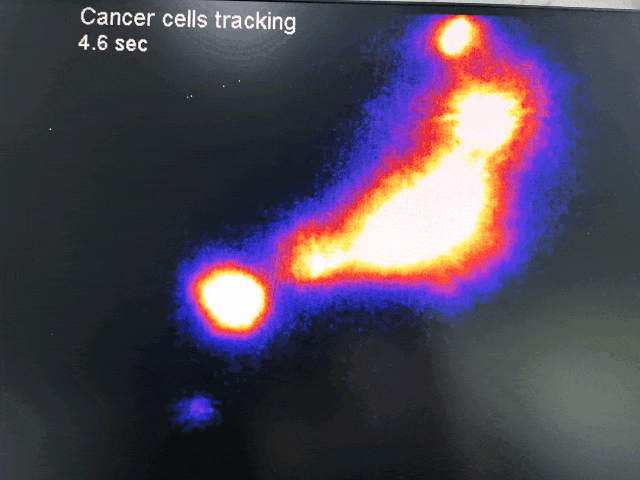 近紅外二區(qū)小動(dòng)物活體成像系統(tǒng) 開啟生物醫(yī)學(xué)研究新視野