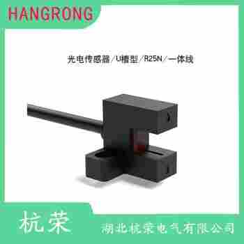 光電開關(guān) IFLO300-10/01YNKG 杭榮