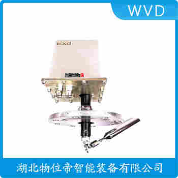 重锤料位计LVG-Z WVD
