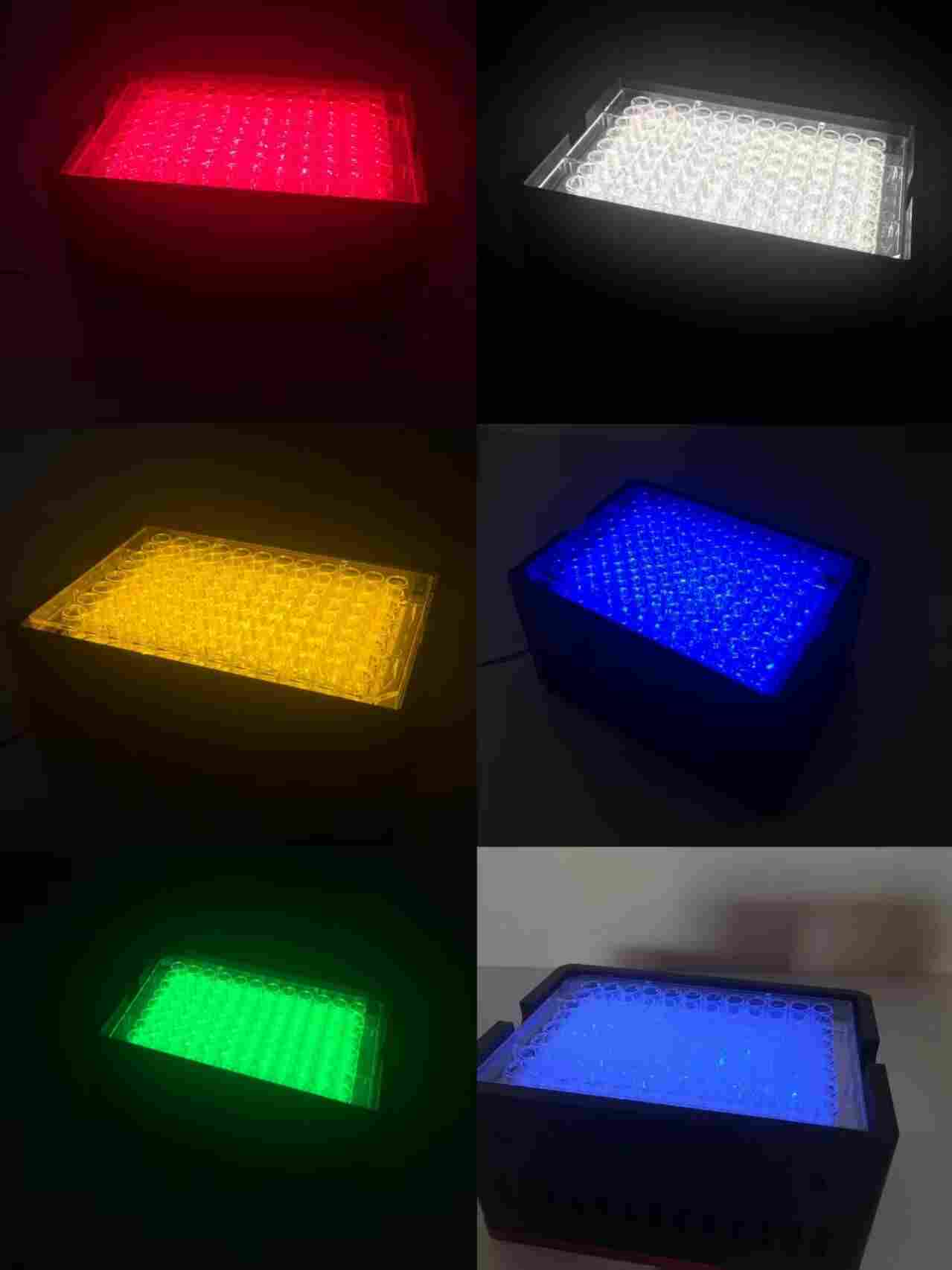 LED96孔板光毒性細胞照射機產品應用與案例