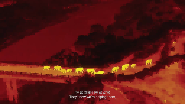 行業(yè)應(yīng)用 / 關(guān)于我們 / 資訊 / 行業(yè)應(yīng)用 救援界的-熱搜收割機-紅外和憑什么圈粉無數(shù)