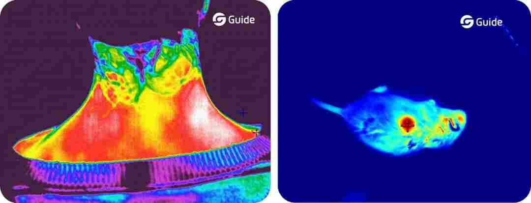 科研人必看-北大實(shí)驗(yàn)室都在用的測(cè)溫方案
