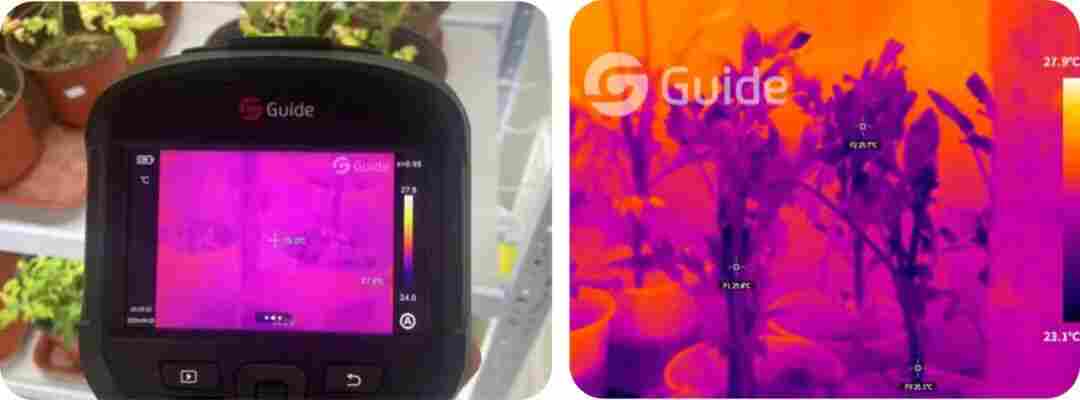 科研人必看-北大實(shí)驗(yàn)室都在用的測(cè)溫方案