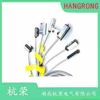 HRS1-RN-100-R06-HT 磁性開(kāi)關(guān)產(chǎn)品特點(diǎn)