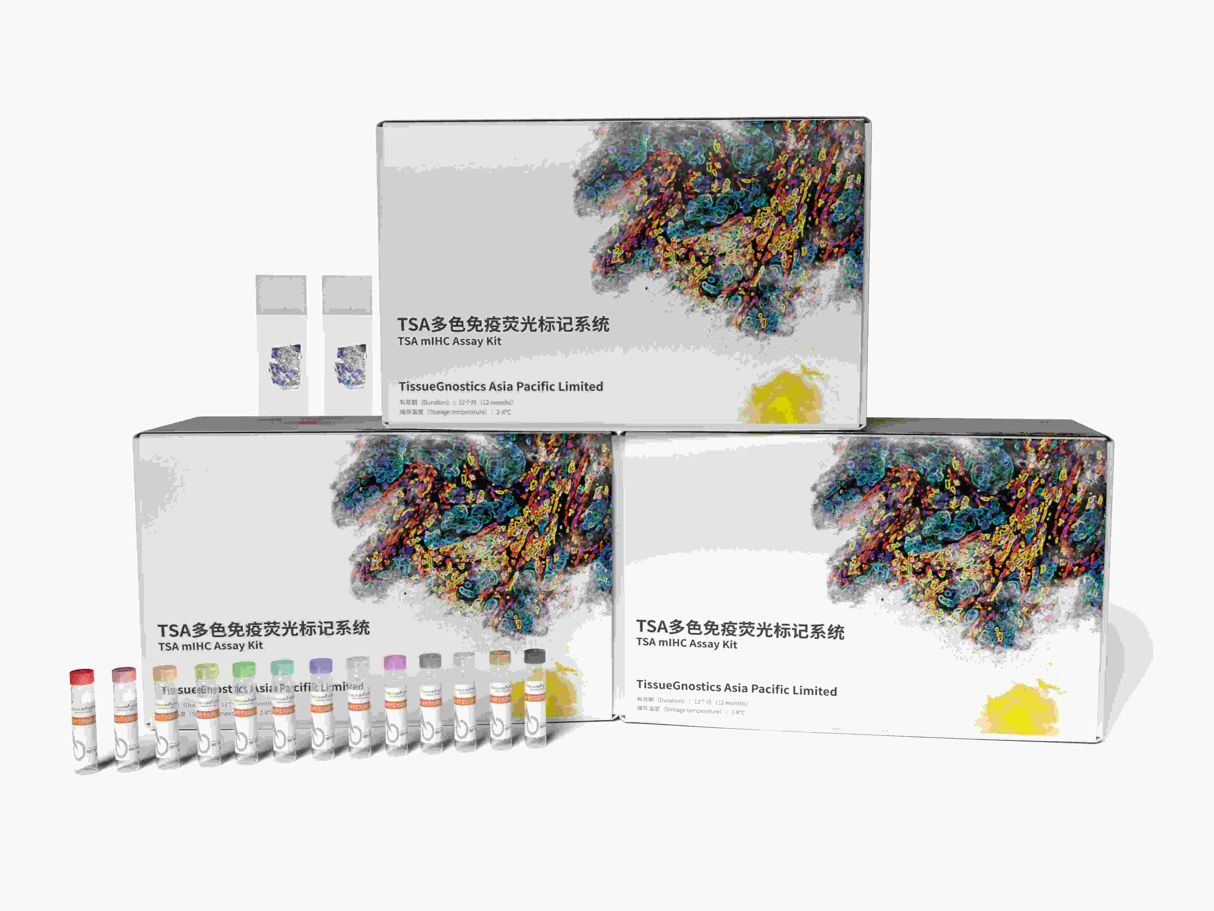 高能TSA多重免疫组化检测试剂盒