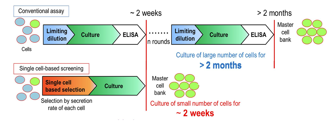單細胞微流控微液滴高速生成及分選系統(tǒng)