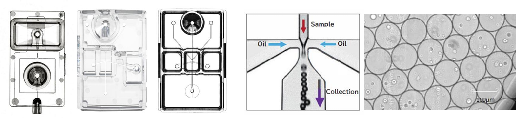 單細(xì)胞微流控微液滴高速生成及分選系統(tǒng)