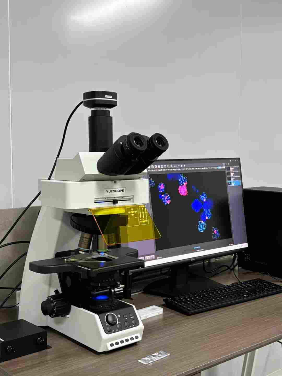 留辉 YB530/YB850 生物显微镜 / 荧光显微镜  