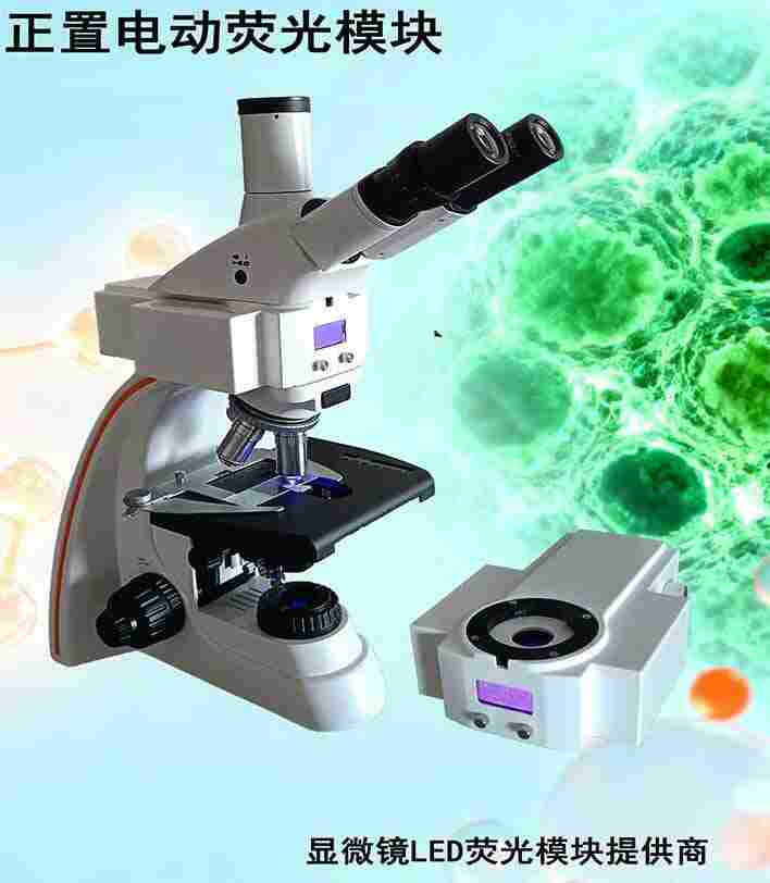 皮膚真菌熒光顯微鏡|LH2801 熒光顯微鏡