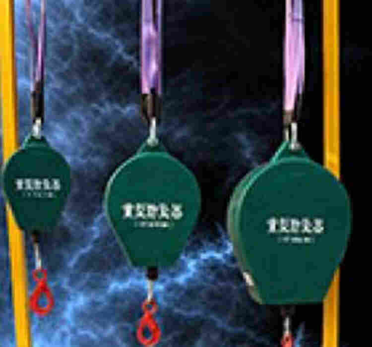 工业重型防坠器 型号TD28-2T*5M库号D395659 