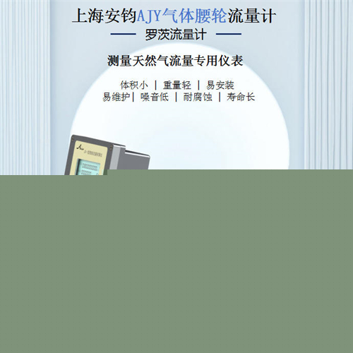 20260319氣體腰輪流量計(jì) (3).jpg