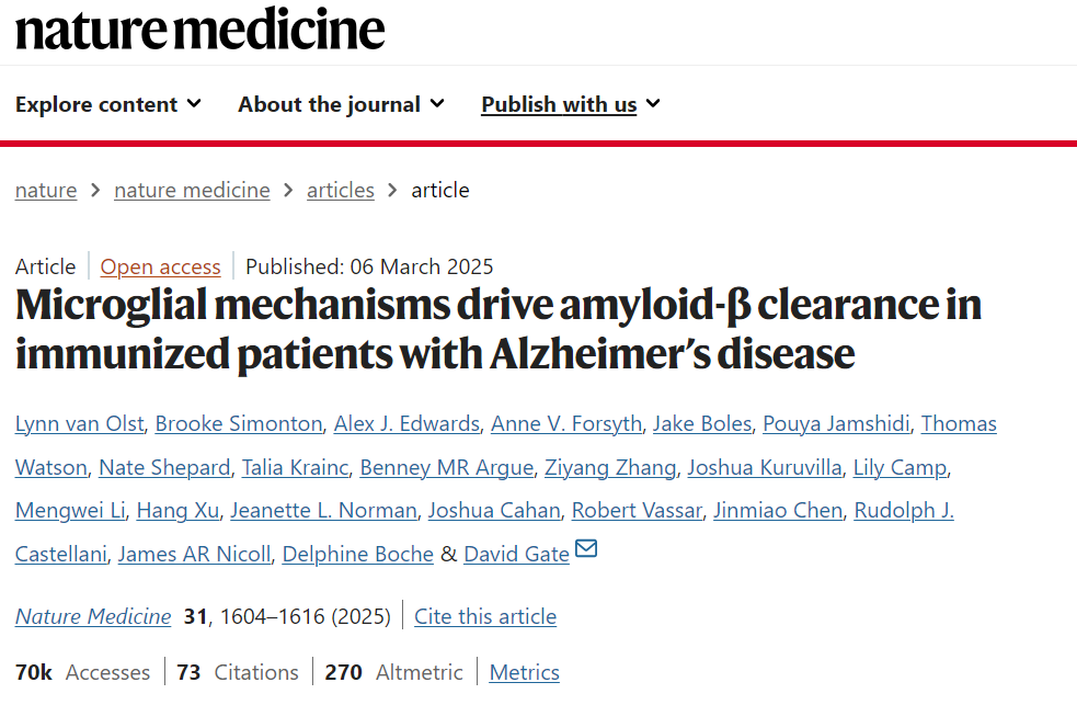 Tissue Cytometry技术赋能 Aβ 病理量化 解码 AD 脑内微胶质细胞调控网络