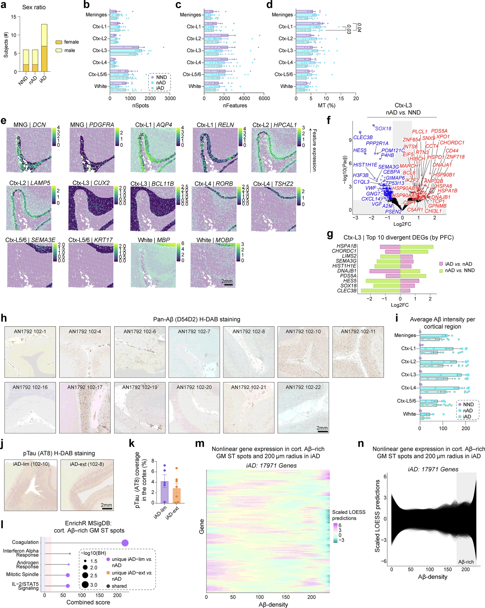 Tissue Cytometry技术赋能 Aβ 病理量化 解码 AD 脑内微胶质细胞调控网络