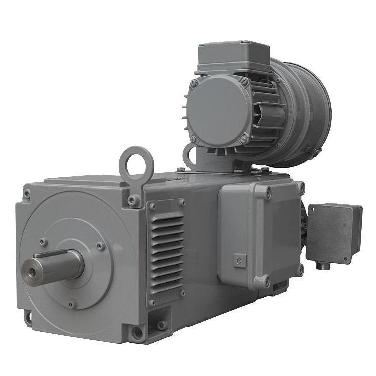 原厂进口WINKELMANN电机