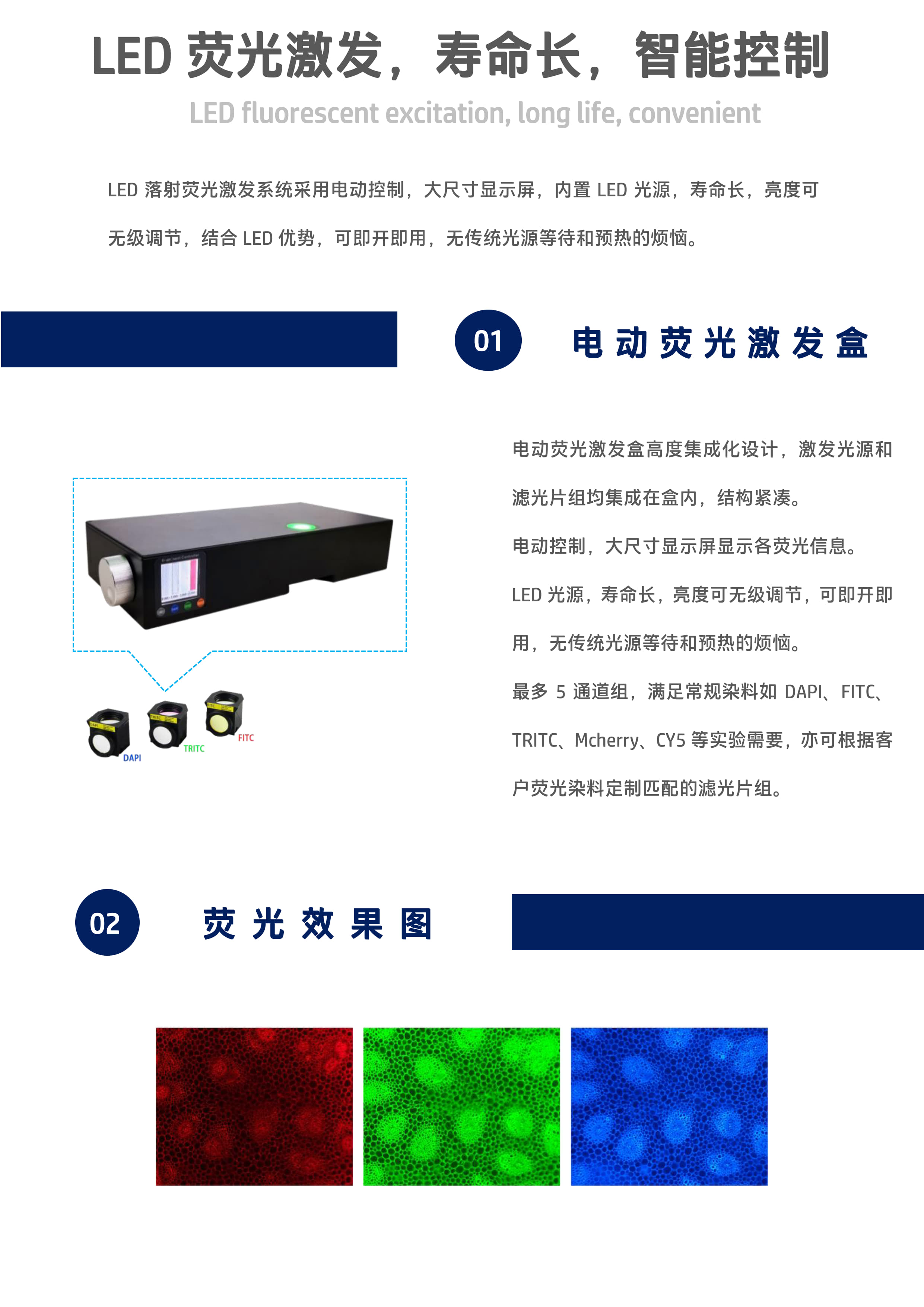 LF50倒置置荧光显微镜_07.jpg LF50倒置置荧光显微镜_07.jpg