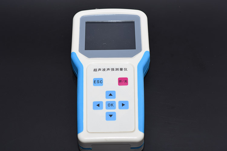 声强测量仪 型号GB03-GBS-UEC300P库D208453 