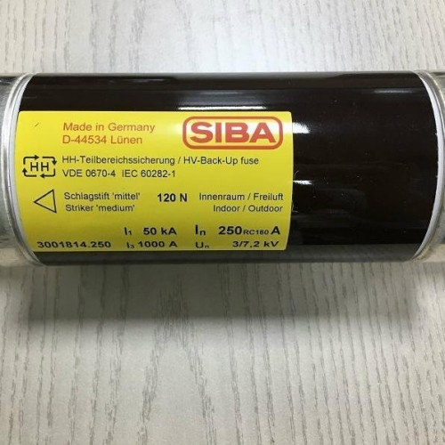 进口高压熔丝SIBA/德国100-160RC100高压熔断器