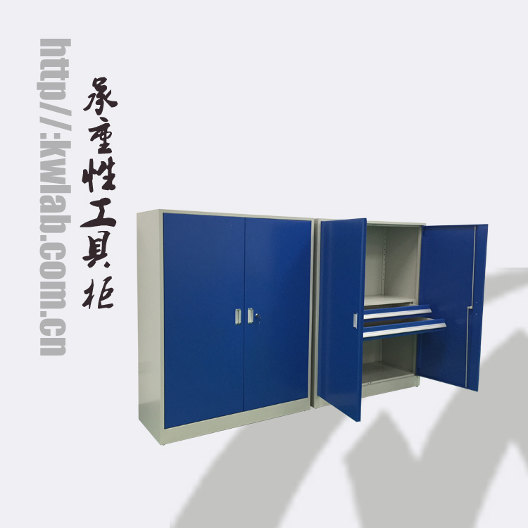 广州科玮实验室设备 测量仪仪器储物柜 陈列柜 仪器柜 工具柜