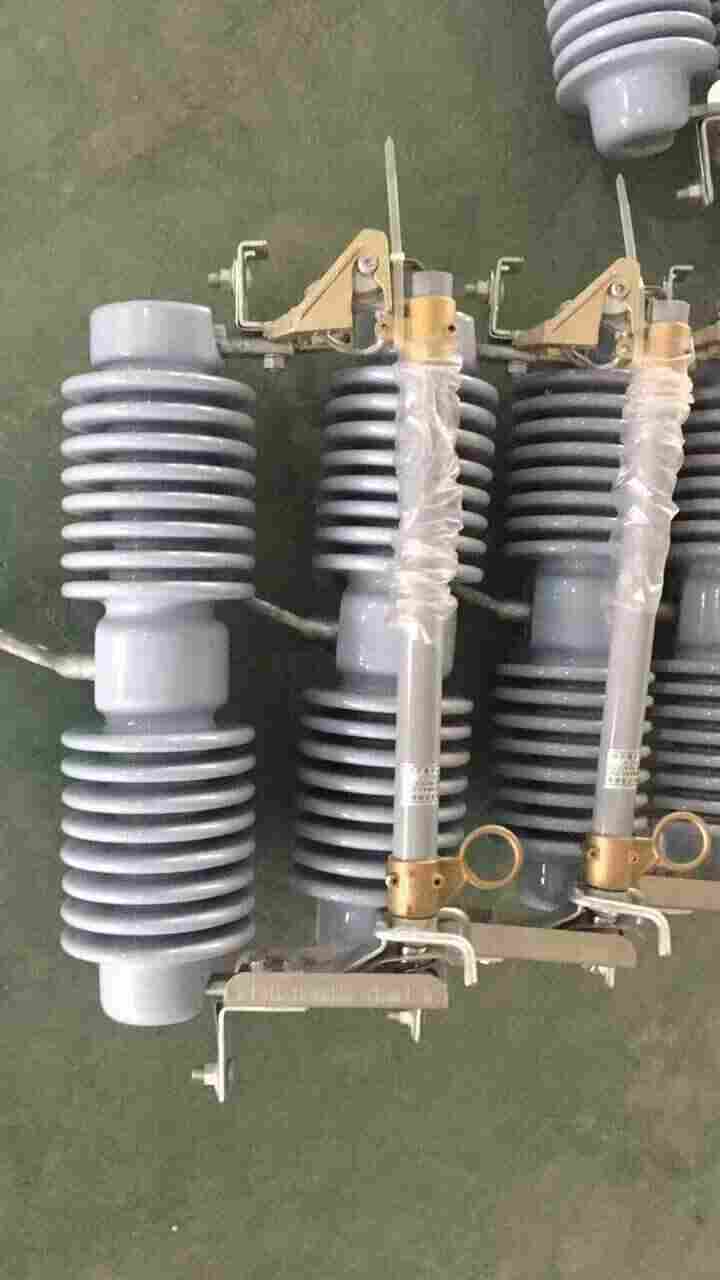 跌落式熔断器PRWG1-10F/100