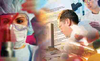 细胞 P3X63Ag8.653细胞