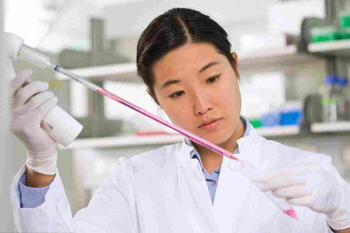 BHK-21 (C-13)(仓鼠肾成纤维细胞)