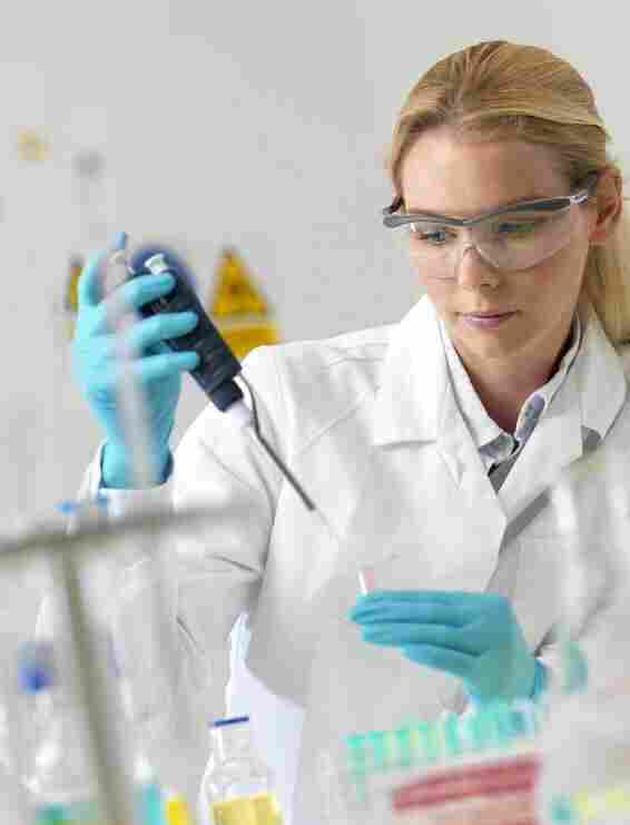 Psi2 DAP(小鼠胚胎成纤维细胞)