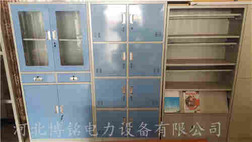 文件整理柜  档案资料储存柜  带锁安全工具柜