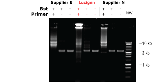 lucigen Bst DNA Polymerase, 8,000 U/mL 30027-1