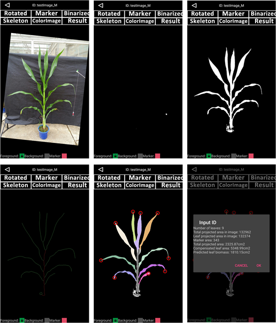便携式植株表型分析仪