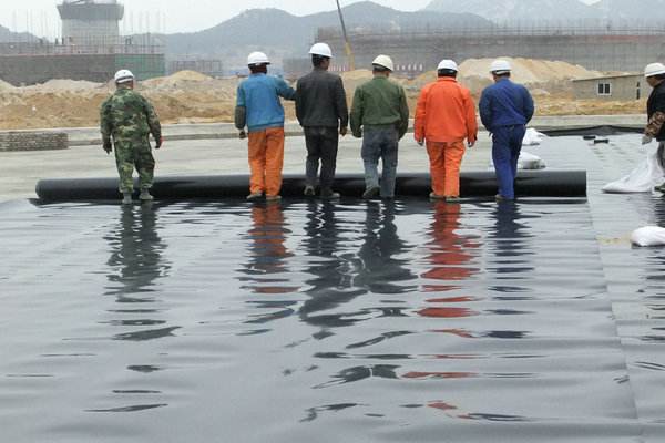 陕西汉中猪场污水池防渗地膜厂家/陕西汉中/欢迎您