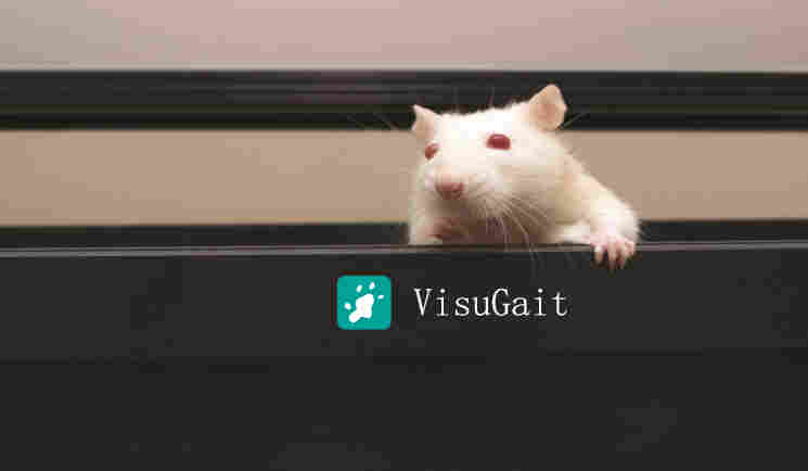 上海欣软VisuGait大小鼠步态实验分析系统