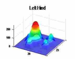 上海欣软VisuGait大小鼠步态实验分析系统