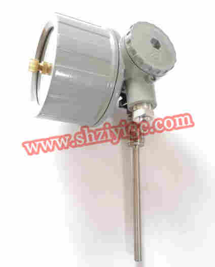 WSSX-481B防爆电接点双金属温度计