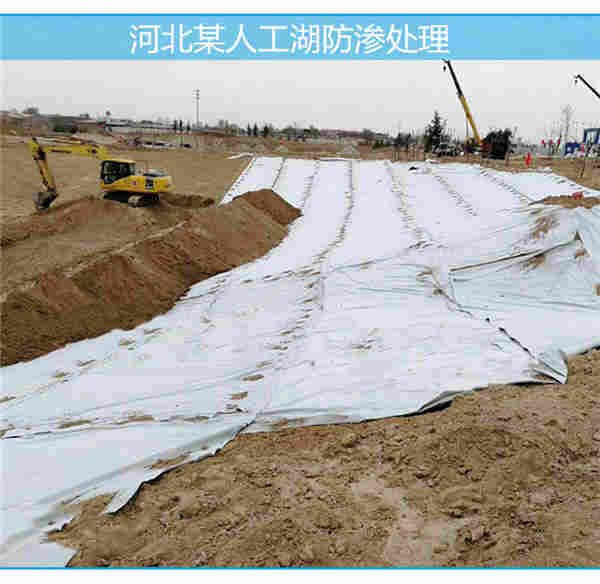 ——沧州聚酯玻纤土工布——沧州厂家欢迎您