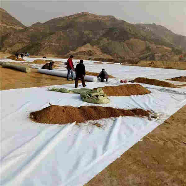 ：铜川聚酯长丝土工布（土工布厂家——欢迎您）