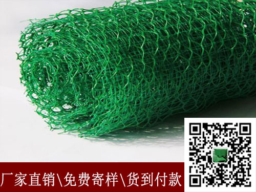 广州三维植被网广州欢迎您！