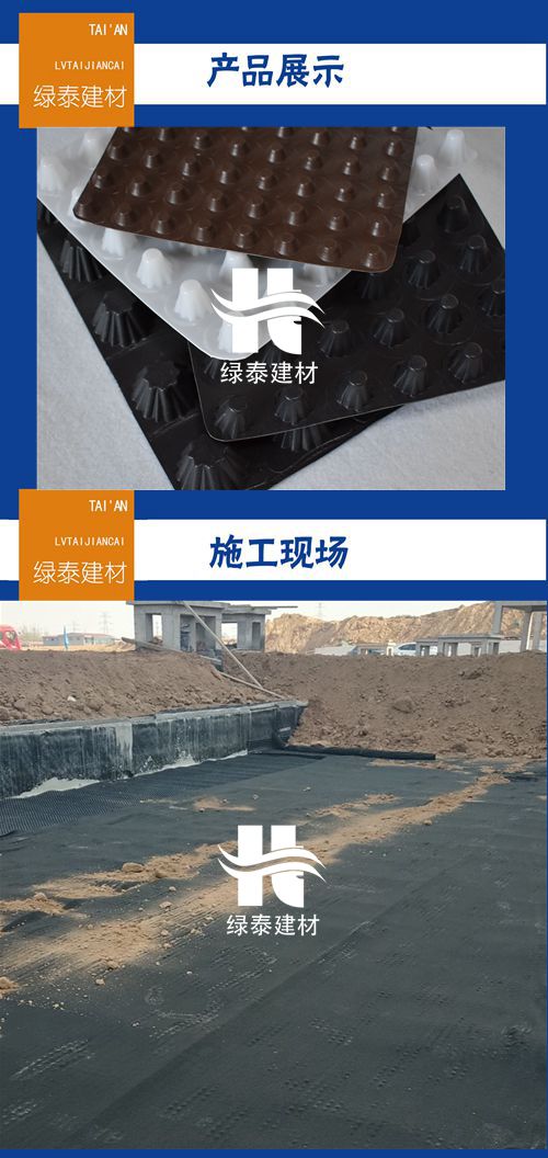 *技能-四川省排水板-批发商定做