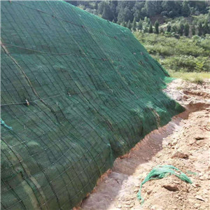 宁乡县抗冲生态毯植生毯生态护坡绿化绿化