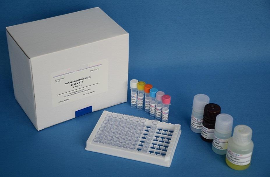 人鸟氨酸脱羧酶 ODC ELISA Kit试剂盒