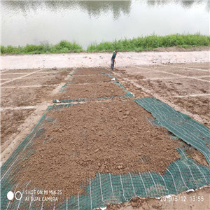 梓潼县植物纤维毯植生毯厂家价格--远景厂家欢迎您考察