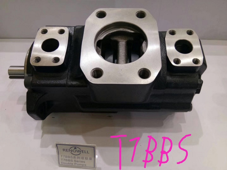 T6D-028-1R01-A1抖音叶片泵液压气动曲靖