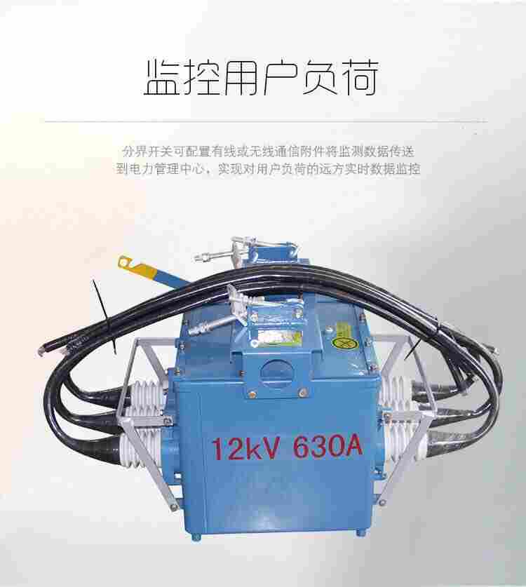 FZW28柱上真空开关 重合闸广西