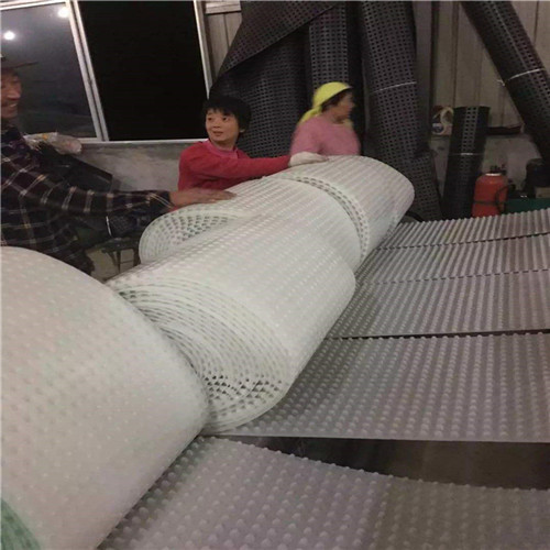 原产地供应韩城市排水板厂家20厚塑料排水板价格供求