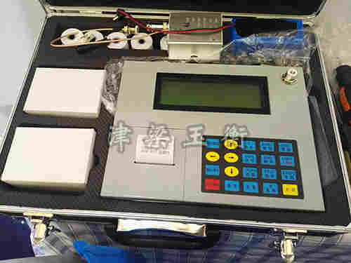 高精度电子吊秤/掌上型电子吊磅30kg～300kg